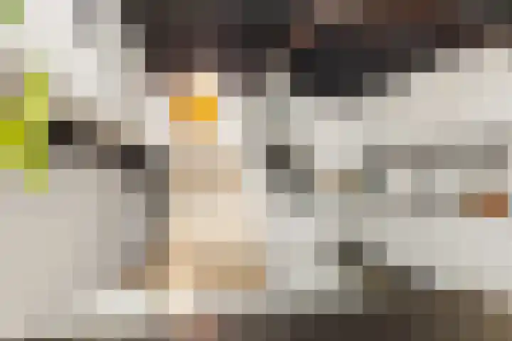 Amstel 51 A Amsterdam thumbnail 12