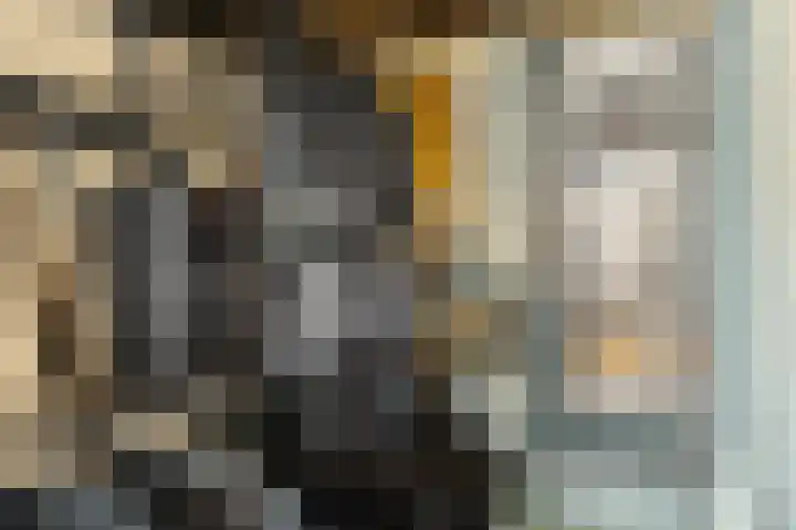 Amstel 51 A Amsterdam thumbnail 13