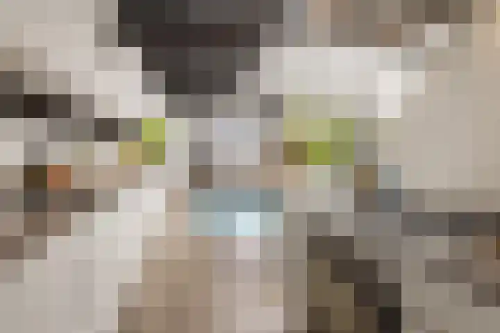 Amstel 51 A Amsterdam thumbnail 6