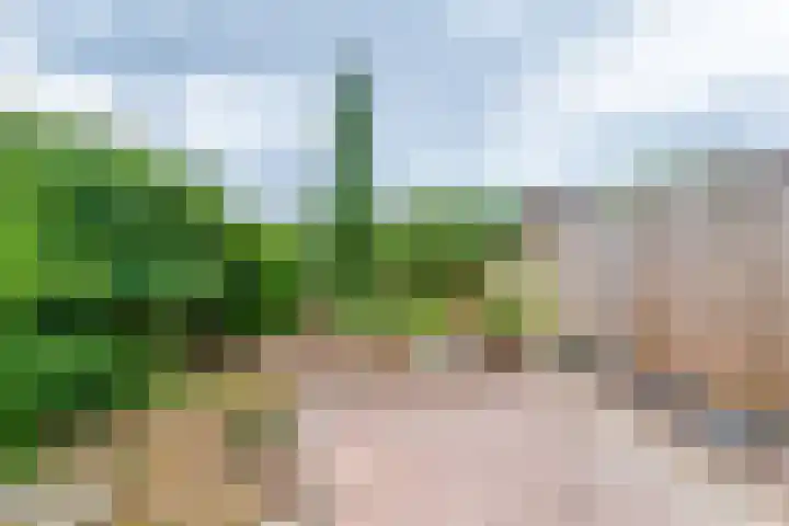 Amstel 6 Huizen thumbnail 11