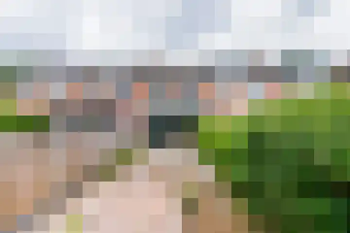 Amstel 6 Huizen thumbnail 12
