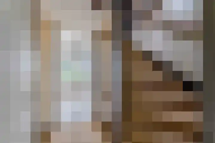 Amstel 6 Huizen thumbnail 20
