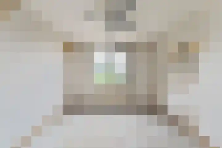 Amstel 6 Huizen thumbnail 21