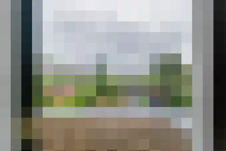 Amstel 6 Huizen thumbnail 22