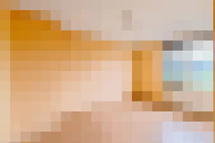 Amstel 6 Huizen thumbnail 24