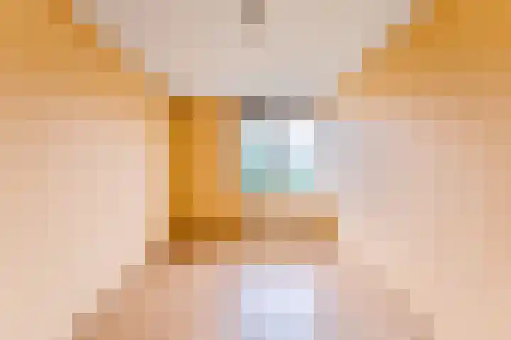 Amstel 6 Huizen thumbnail 25