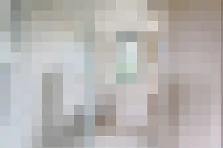 Amstel 6 Huizen thumbnail 31