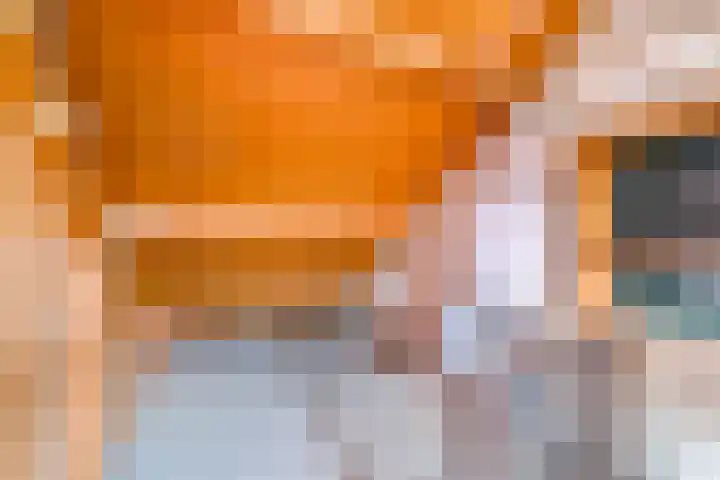 Amstel 6 Huizen thumbnail 34