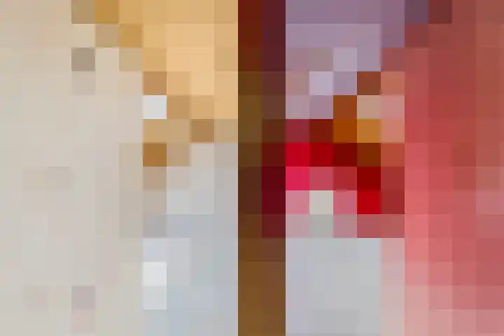 Amstel 6 Huizen thumbnail 36