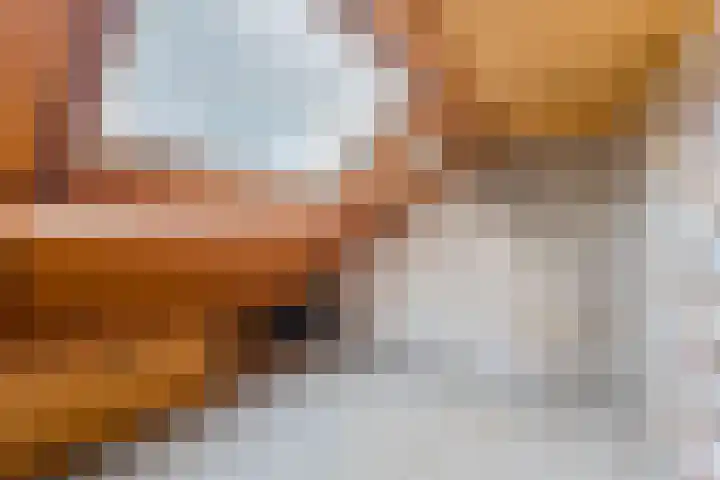 Amstel 6 Huizen thumbnail 37
