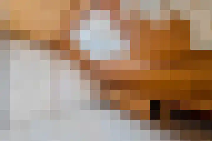 Amstel 6 Huizen thumbnail 38