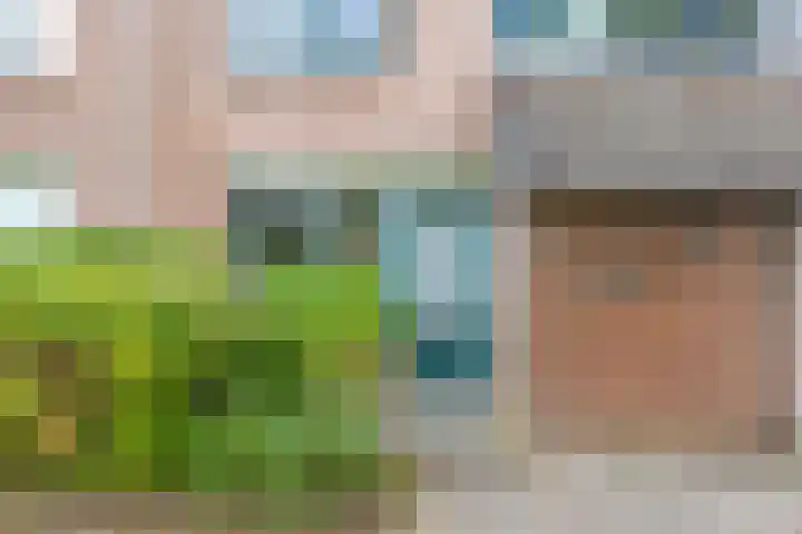 Amstel 6 Huizen thumbnail 4