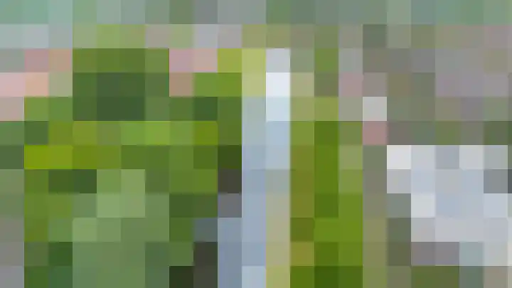 Amstel 6 Huizen thumbnail 42