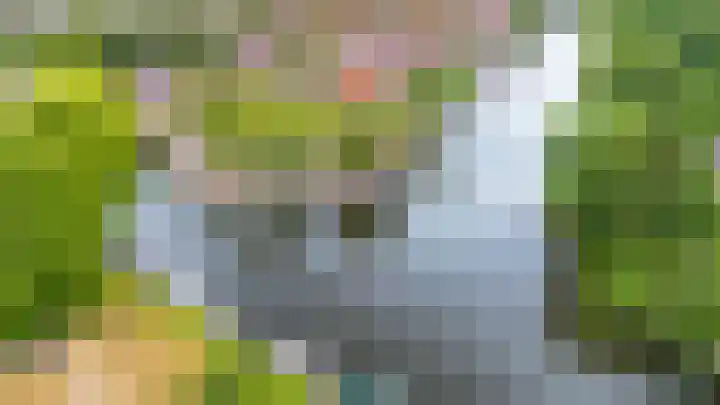 Amstel 6 Huizen thumbnail 43