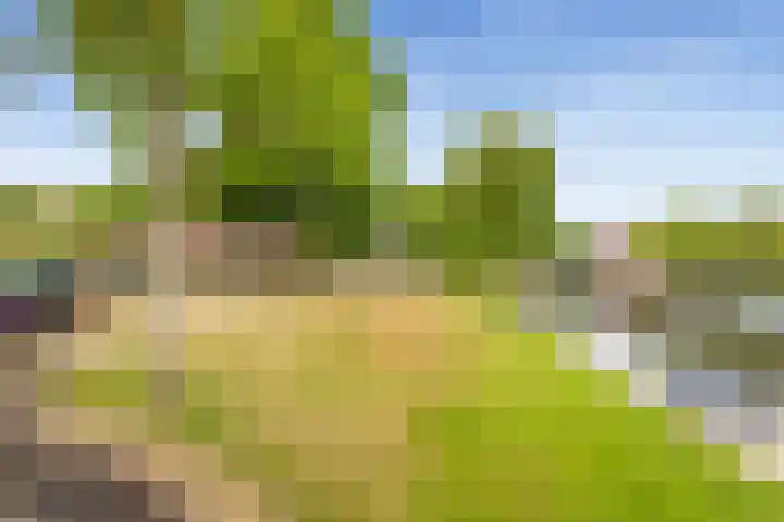 Amstel 6 Huizen thumbnail 48