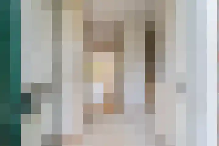 Amstel 6 Huizen thumbnail 5