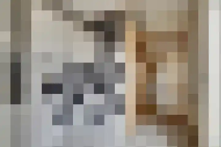 Amstel 85 Wijk bij Duurstede thumbnail 13