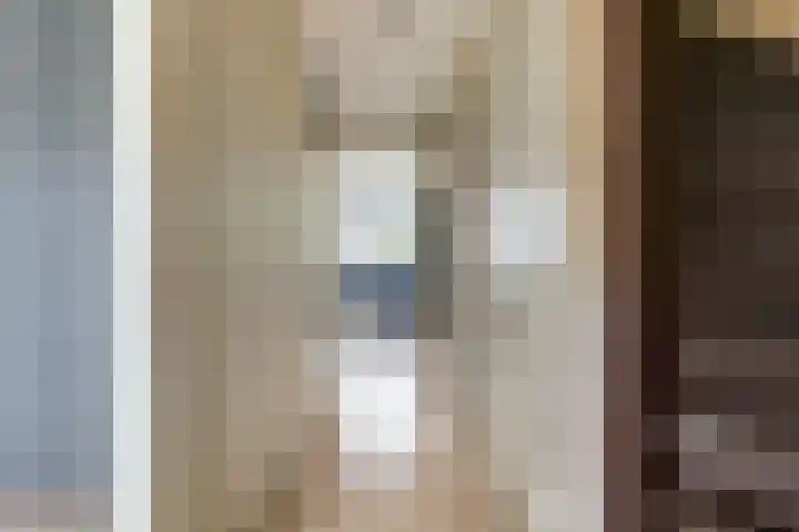 Amstel 85 Wijk bij Duurstede thumbnail 15