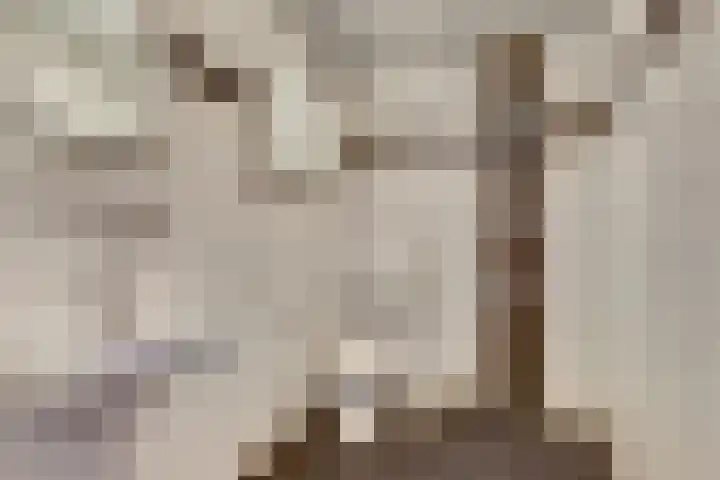 Amstel 85 Wijk bij Duurstede thumbnail 23