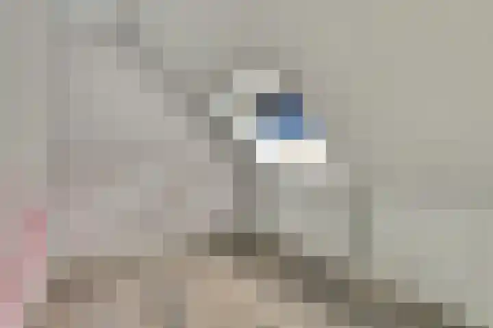Amstel 85 Wijk bij Duurstede thumbnail 26