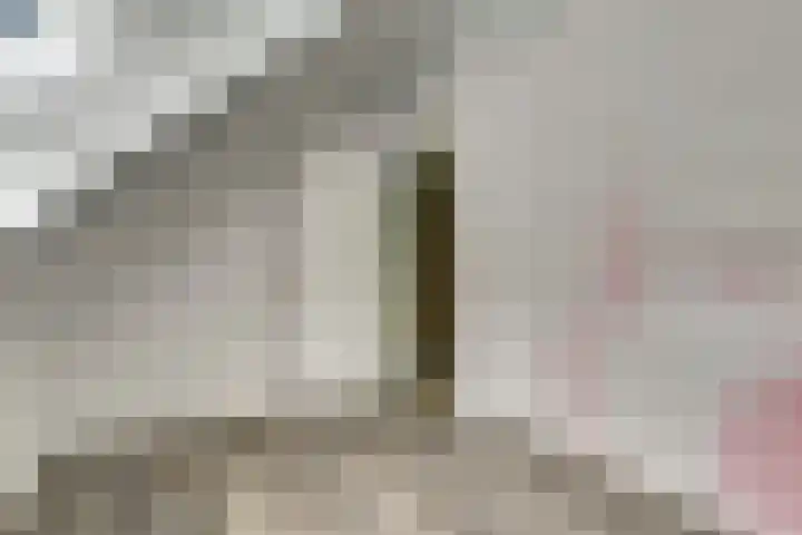 Amstel 85 Wijk bij Duurstede thumbnail 27