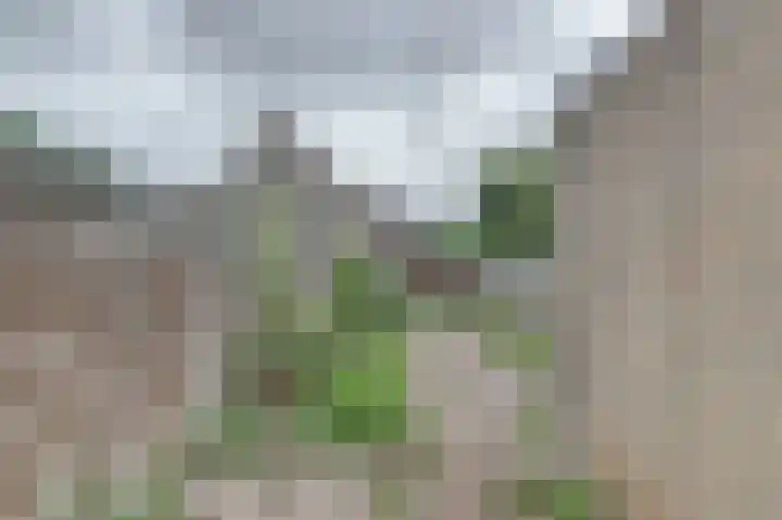 Amstel 85 Wijk bij Duurstede thumbnail 33
