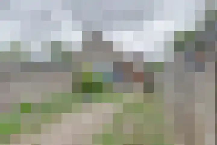 Amstel 85 Wijk bij Duurstede thumbnail 34