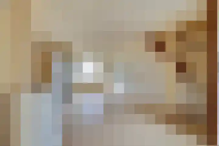 Amstel 85 Wijk bij Duurstede thumbnail 7