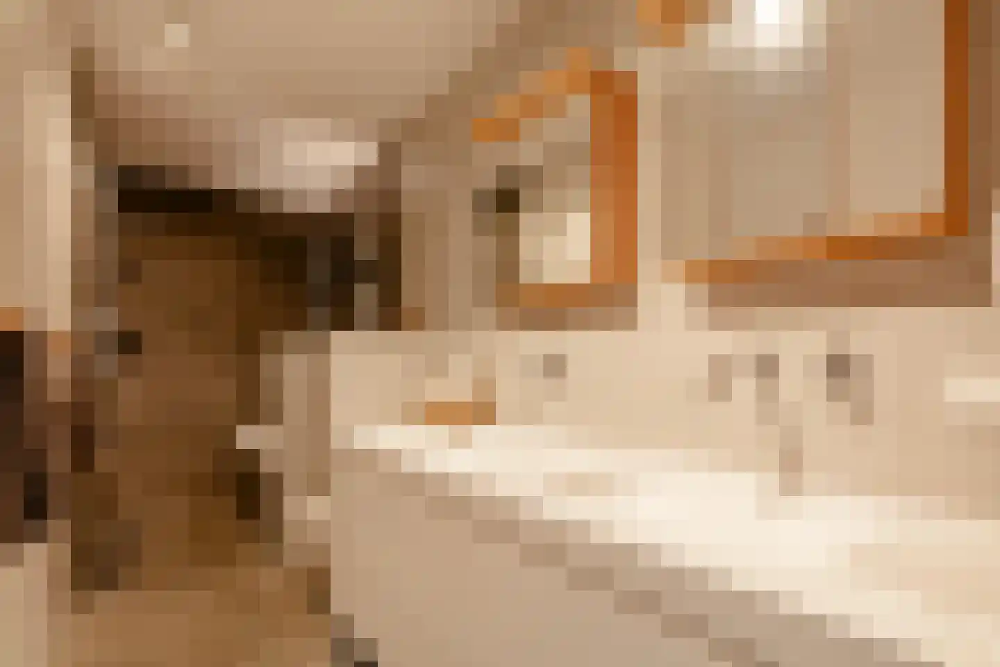 Amstelbeststraat 2 K Amsterdam thumbnail 33