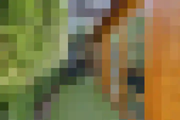 Amsteldiep 10 Lelystad thumbnail 38