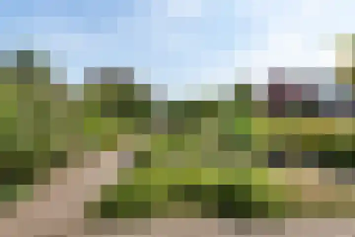 Amsteldiep 10 Lelystad thumbnail 41
