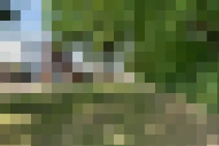 Amsteldiep 10 Lelystad thumbnail 42