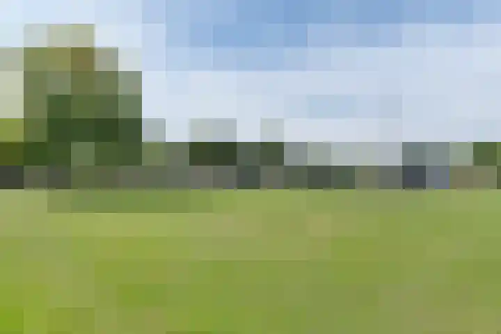 Amsteldiep 10 Lelystad thumbnail 46