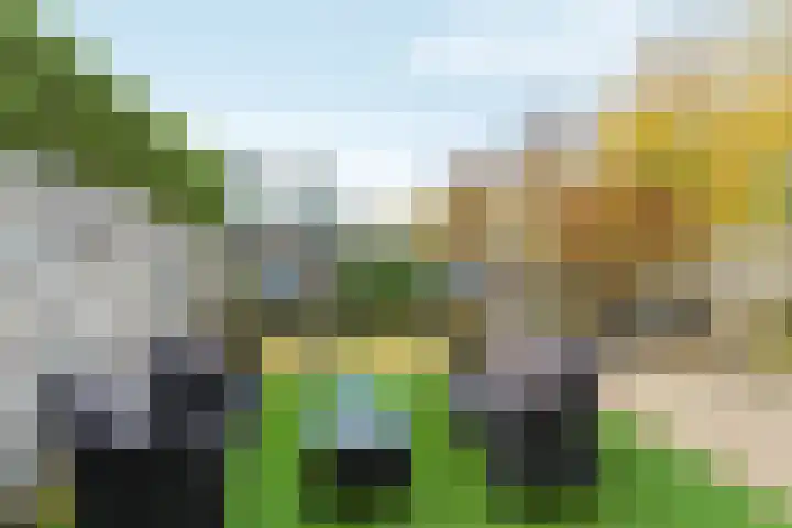 Amsteldiep 20 Lelystad thumbnail 55