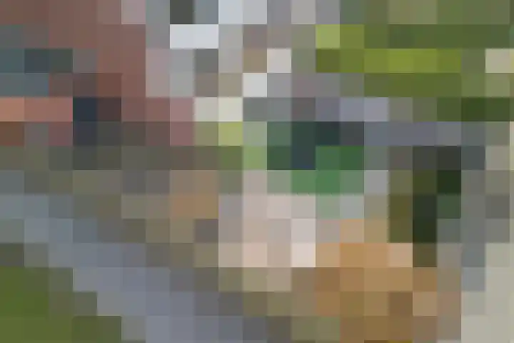 Amsteldiep 20 Lelystad thumbnail 66
