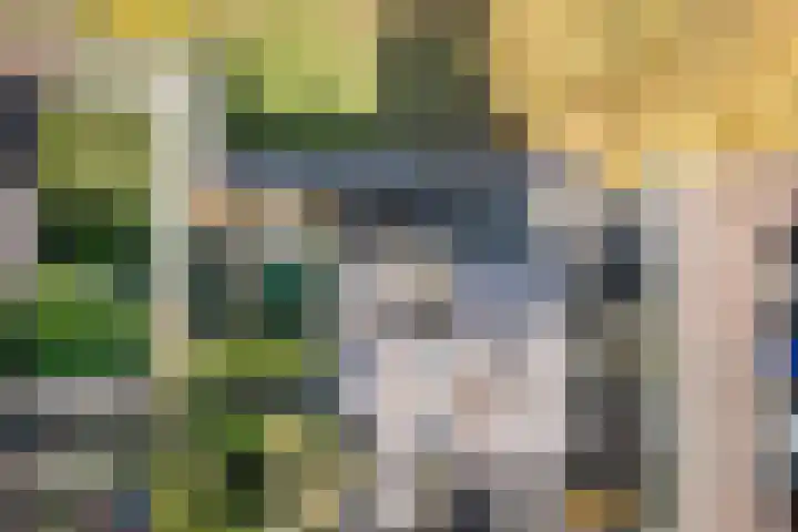 Amsteldiep 20 Lelystad thumbnail 7