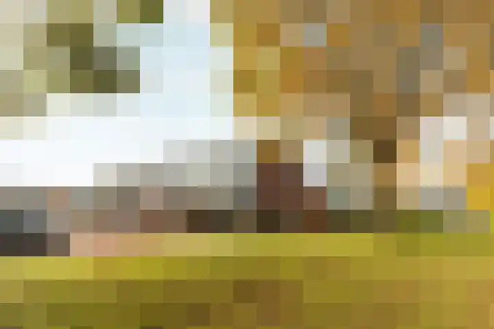 Amsteldiep 20 Lelystad thumbnail 8