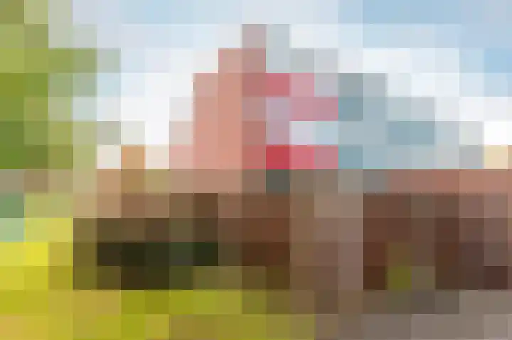 Amsteldiep 29 Lelystad thumbnail 37