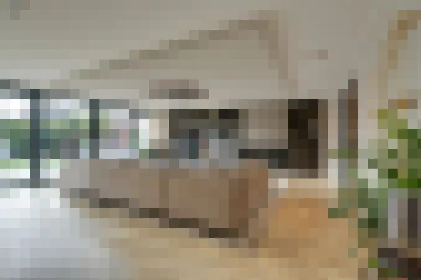 Amsteldiep 3 Volendam thumbnail 16