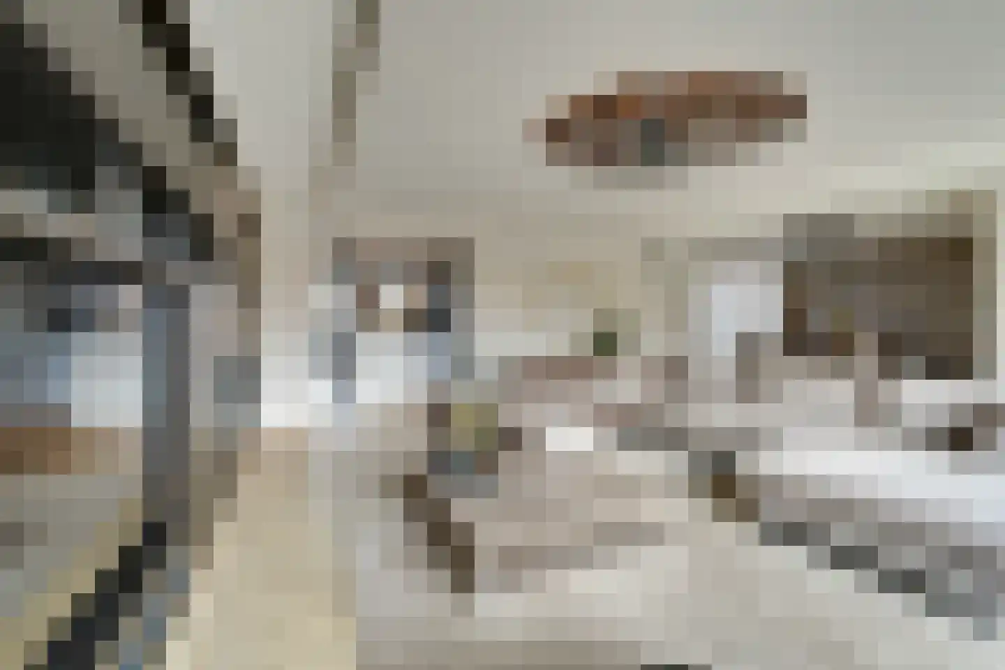 Amsteldiep 3 Volendam thumbnail 20