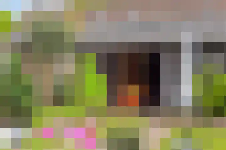 Amsteldiep 7 Zeewolde thumbnail 31