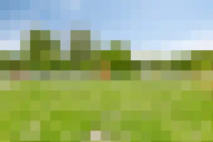 Amsteldiep 7 Zeewolde thumbnail 34