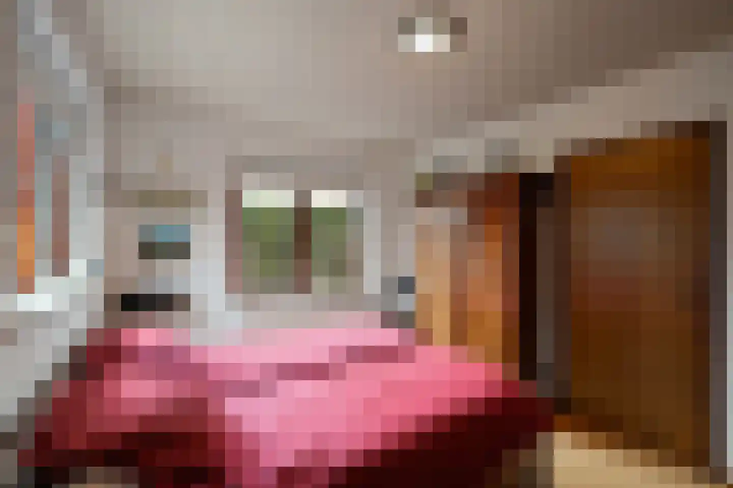 Amsteldiepstraat 56 Den Oever thumbnail 17