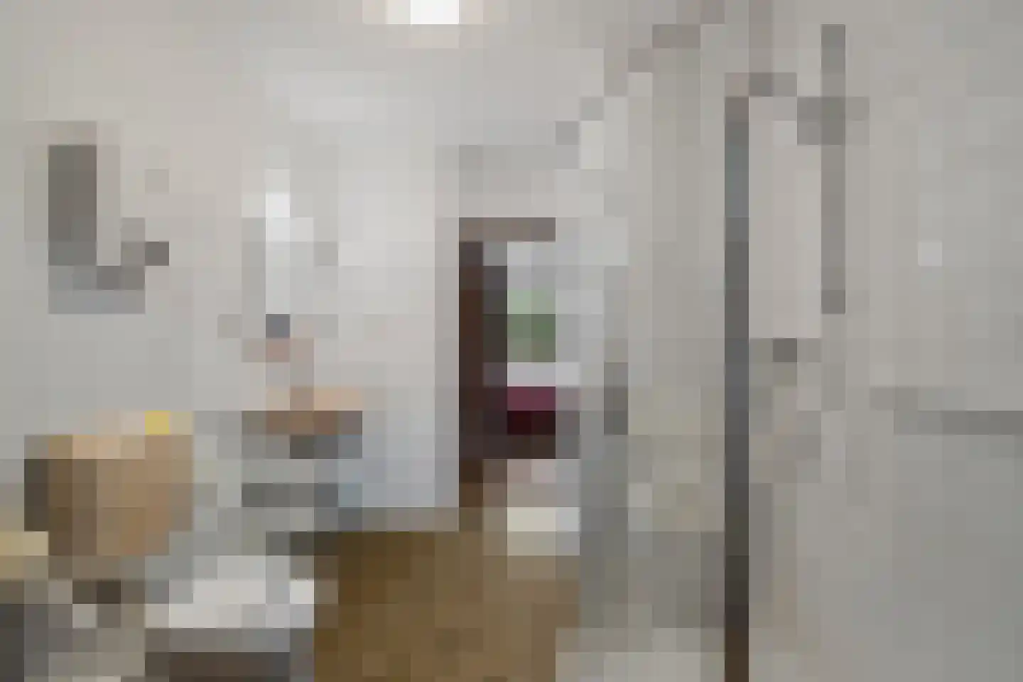 Amsteldiepstraat 56 Den Oever thumbnail 19