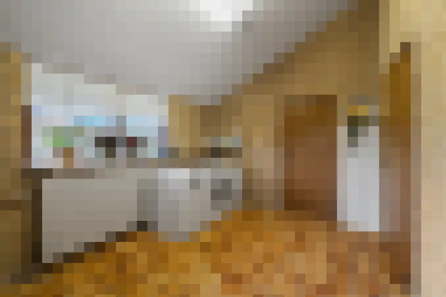 Amsteldiepstraat 56 Den Oever thumbnail 20