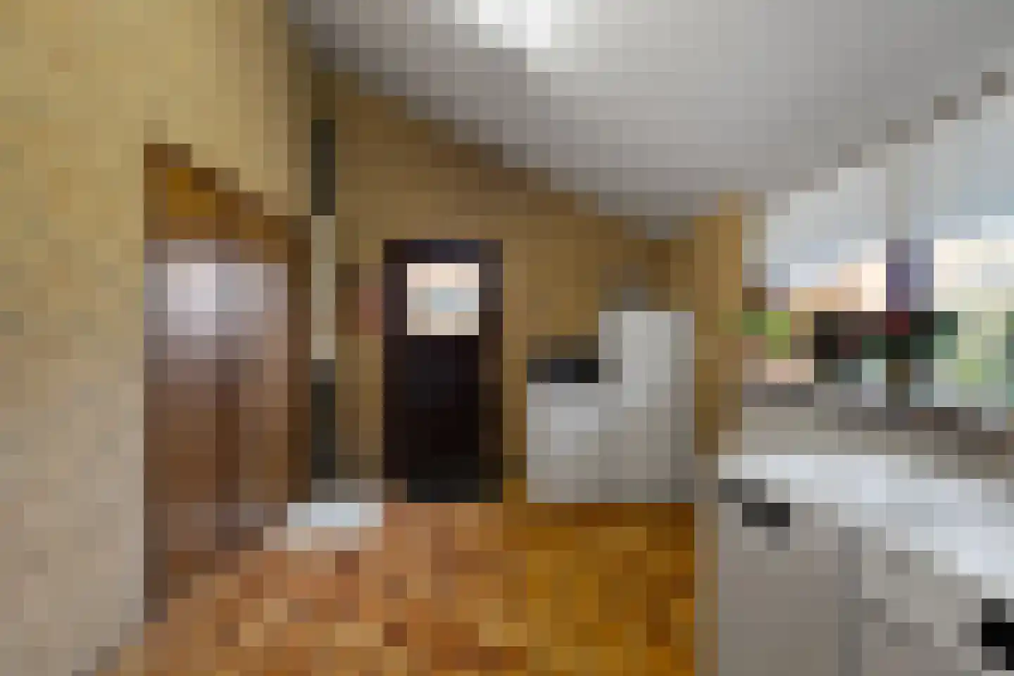 Amsteldiepstraat 56 Den Oever thumbnail 21