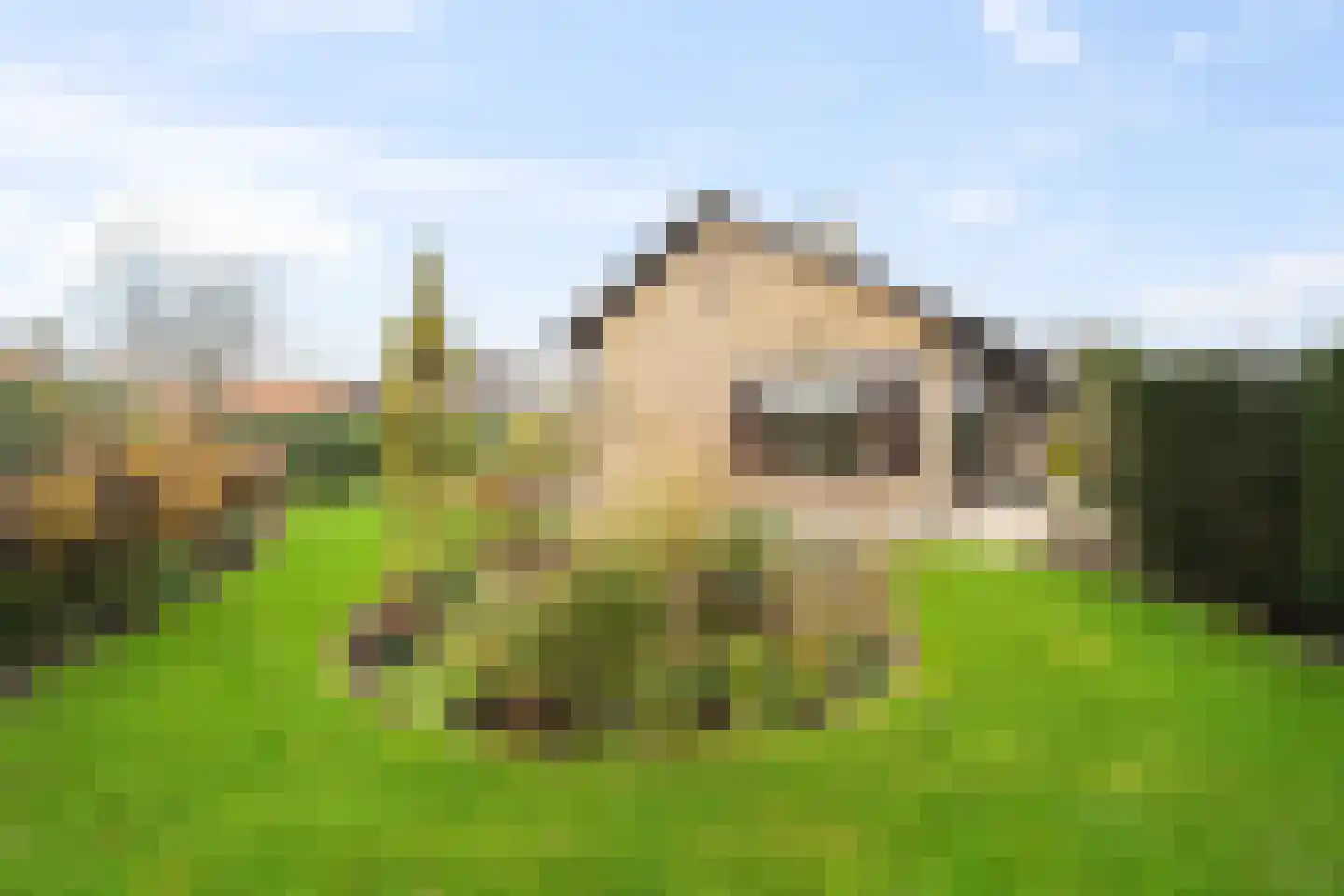 Amsteldiepstraat 56 Den Oever thumbnail 31