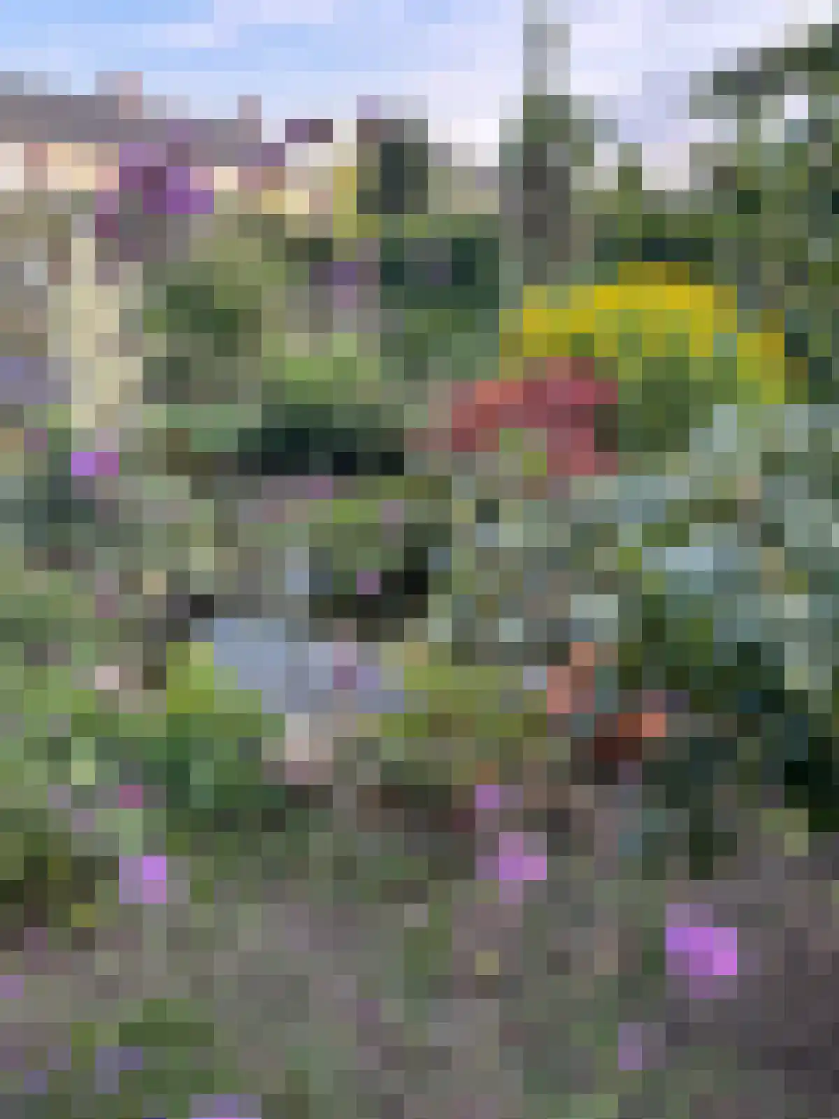 Amsteldiepstraat 56 Den Oever thumbnail 34