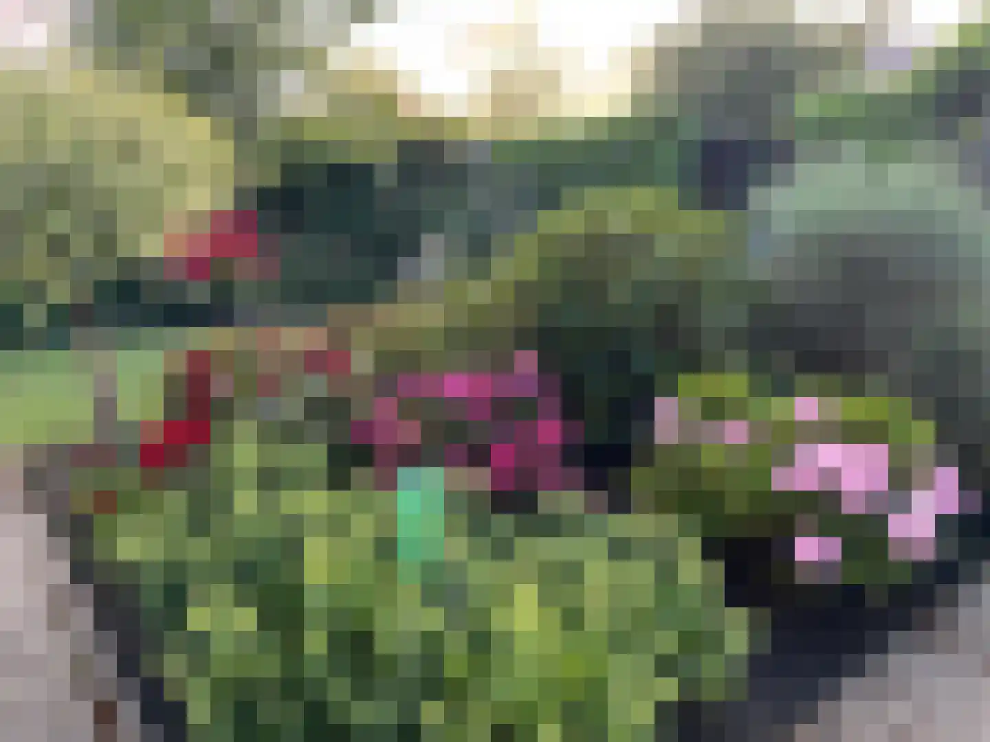 Amsteldiepstraat 56 Den Oever thumbnail 35