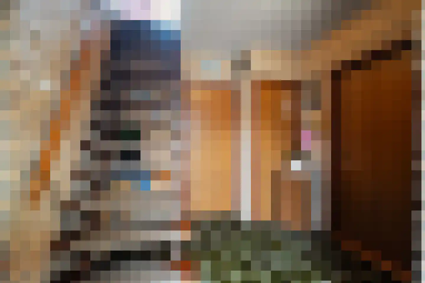 Amsteldiepstraat 56 Den Oever thumbnail 8